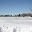 2010-02-12 (029)